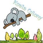 Koala Colony