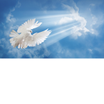 Wings Of Dreams
