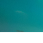 Robux paying out group,