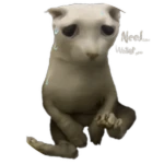Dehydrated Bingus