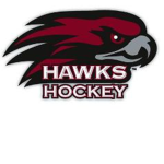 Hawks Hockey team