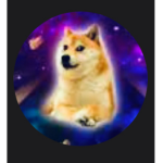 DOGE GOD’S