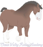 Ocean Valley Riding Academy