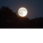 Moonlight_Stars321
