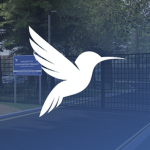 Northwood Primary School RBLX