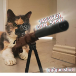 GUN_SHOT