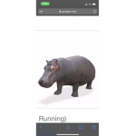 Thick hippo boi