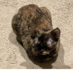Artemis support group!