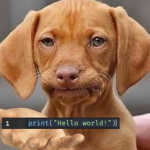 Disappointed Dog Studios