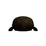 Tortise Watch