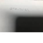 ロブロックス法人企業