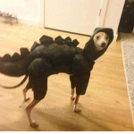 THE DINO DOG SQUAD