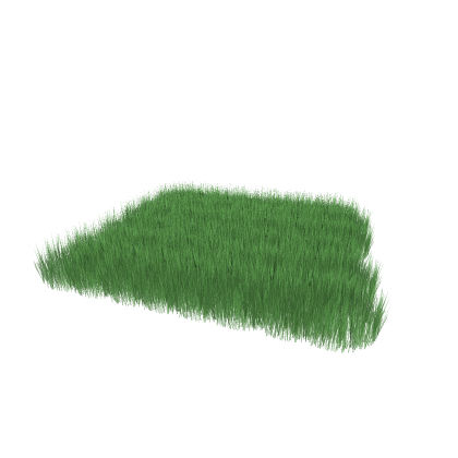 Grass