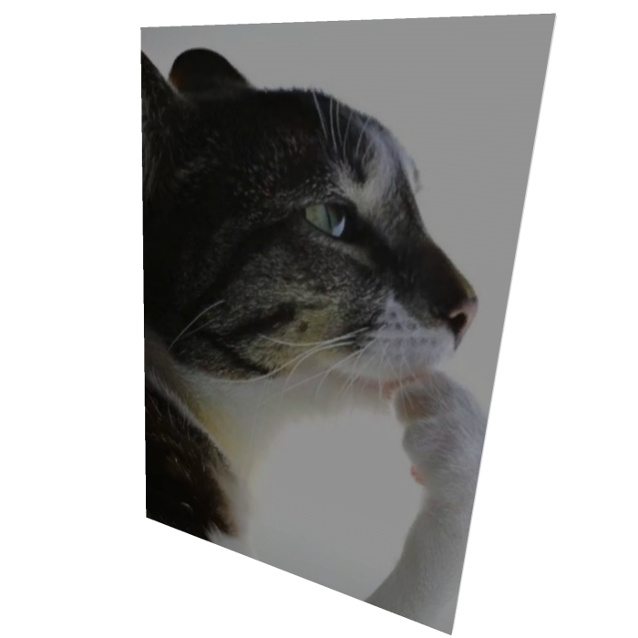 thinking cat meme cape