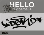 Dirty Ghetto Kids Skate Group