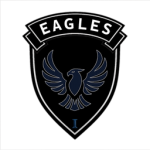 Task Force Eagles