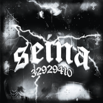 'seina