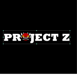 PROJECT ~Z~