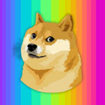 Doge nation:D :) :l