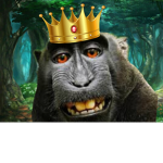 TheRoyalMonkeys