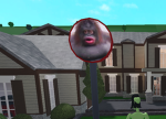 Poop Cakes Team
