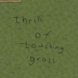 touch grass and hangout in a chaotic town