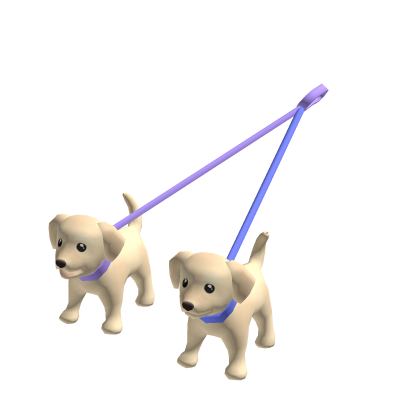 Labrador Puppies