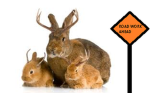 Jackelope Labour Union