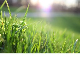 touch some grass simulator