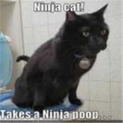 ninja cat takes a ninja poop Roblox decal