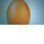 Little Eggs