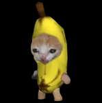 BANANA GANG THAT DONT SPLIT