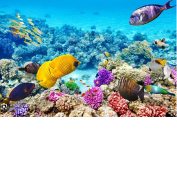 ocean game