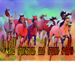 Wild equestrian and equine stables