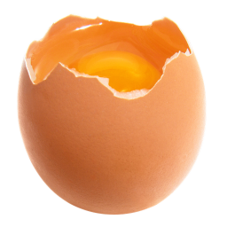 B R O K E N   E G G
