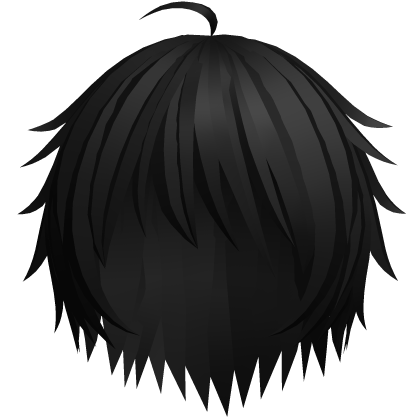 Black Long Messy Shaggy Anime Boy Hair Roblox item