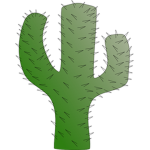 Cacti Cactuses