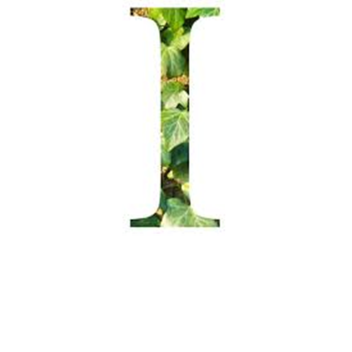 cause I