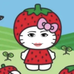 MichiSAUN