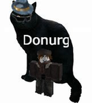 Donurgs Basement