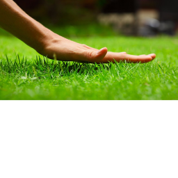 touch grass simulator