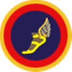 [CO] División de Aviación Asalto Aéreo