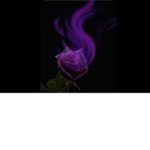 ThePurpleRose
