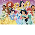 The Disney princess club