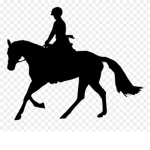 Star Riders Riding Academy