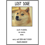 I'm lost help me