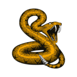 The Snakes Of Roblox