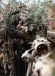 E.S.M Elite Sniper Master's