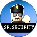 Senior Security