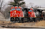 [Ro-Scale] CN Flint Subdivision